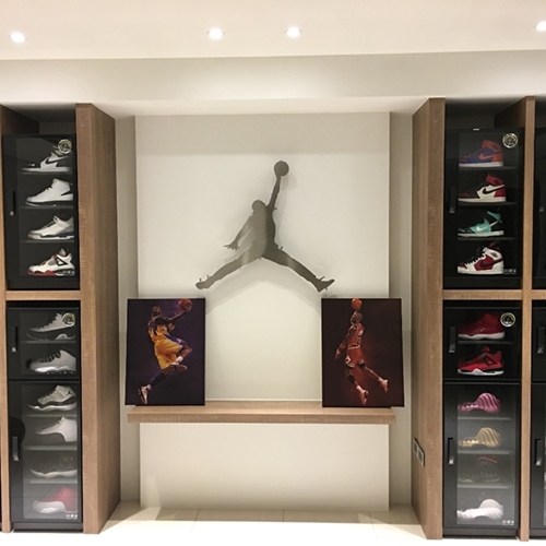S-041 Customized Dry Cabinet for sneakers